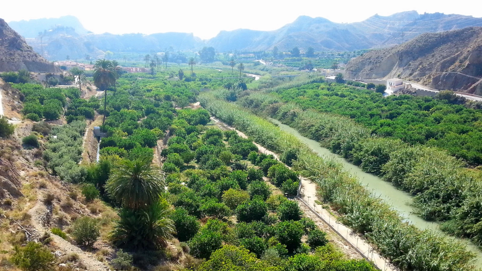 Paisaje del Valle de Ricote a su paso por Ulea. Fuente: Ayuntamiento de Ulea.