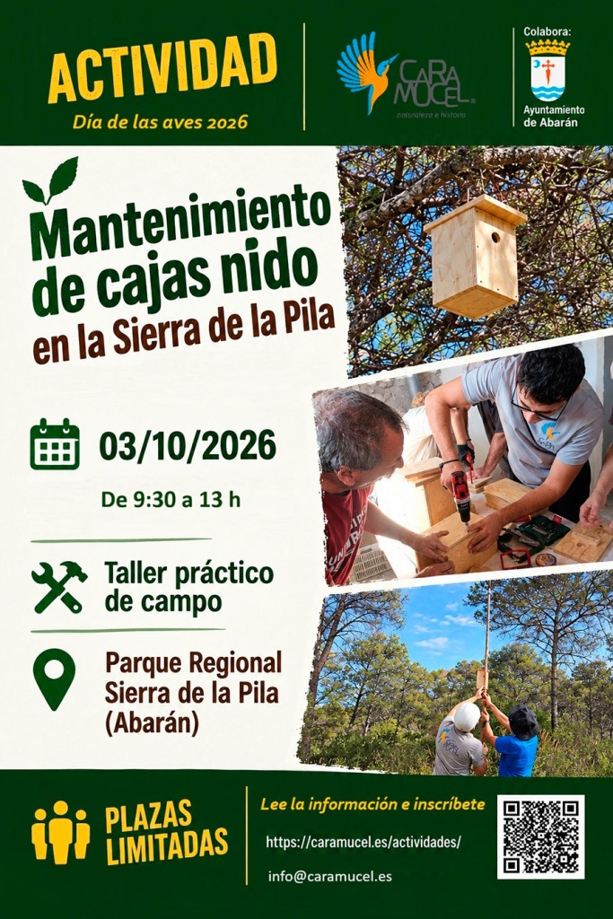 Cartel de Caramucel: mantenimiento de cajas nido el 3 de octubre, de 09:30 a 13:00